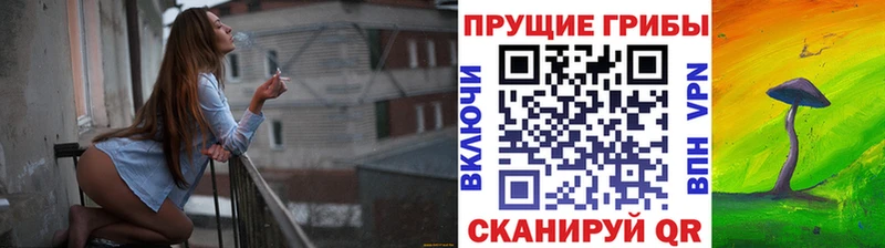 Псилоцибиновые грибы мицелий  дарнет шоп  Ленинск 