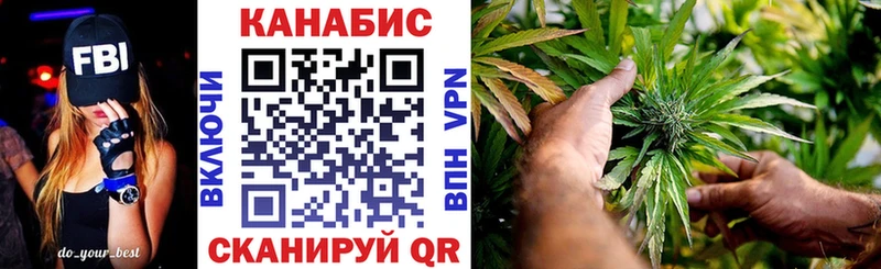 Каннабис сатива  Ленинск 